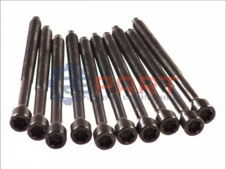Комплект болтів ГБЦ AUDI A3, A4 B6 SEAT ALTEA, ALTEA XL, LEON, TOLEDO III SKODA OCTAVIA II VW EOS, GOLF PLUS V, GOLF V, JETTA III, PASSAT B6, TOURAN 2.0 07.02-11.10 Elring 290440 Купити в Україні