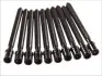 Фото Комплект болтів ГБЦ AUDI A3, A4 B7, A6 C6 CHRYSLER SEBRING DODGE AVENGER, CALIBER, JOURNEY JEEP COMPASS, PATRIOT MITSUBISHI GRANDIS, LANCER VIII, OUTLANDER II SEAT ALTEA, ALTEA XL 2.0D 02.03 Elring (305430) зображення 1