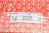 Комплект прокладок (нижній) Audi Q5/Q7/Porsche Cayenne/VW Touareg 3.0 TDI 07- Elring (339380) зображення 21