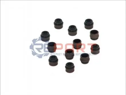 Комплект сальників клапана (6 x 12,2 x 10) AUDI A1 BMW 3 (E36), 5 (E34), 5 (E39), 7 (E38), Z3 (E36) LAND ROVER RANGE ROVER II OPEL OMEGA B SEAT CORDOBA, IBIZA III, IBIZA IV 1.2-3.2 03.90-12.22 Elring 424780 Купити в Україні