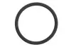Прокладка корпуса впускного колектора Elring (445270) зображення 1