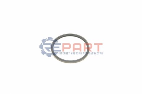 Прокладка термостата Citroen Jumper/Peugeot Boxer 2.2 HDi 06- ELRING 446.020