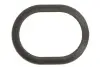 Фото Прокладка радиатора масла Porsche Cayenne 3.6/4.8 Elring (482260) изображение 1