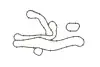 Фото Компл. прокладок масляного радіатора OPEL ANTARA A, CASCADA, INSIGNIA A, INSIGNIA A COUNTRY, INSIGNIA B, INSIGNIA B COUNTRY, INSIGNIA B GRAND SPORT, ZAFIRA C 2.0D 10.11 Elring (483680) зображення 1