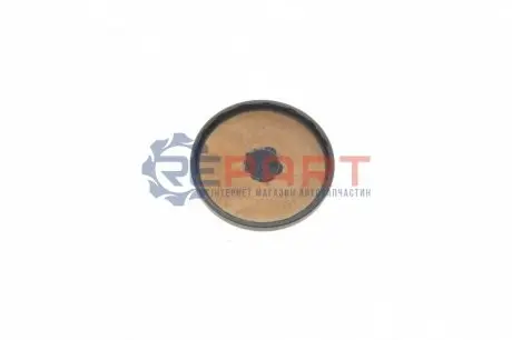 Заглушка розподільчого валу DACIA DUSTER, LOGAN, LOGAN II, LOGAN MCV, SANDERO LADA LARGUS NISSAN BLUEBIRD SYLPHY II, INTERSTAR, KUBISTAR, PRIMASTAR, TERRANO OPEL MOVANO A 1.4-2.5D 11.97 Elring 568990 Купити в Україні