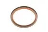 Сальник коленвала Elring (587842) изображение 2