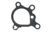 Ущільнення паливного насосу FORD GALAXY II, GALAXY MK II, MONDEO IV, S-MAX LAND ROVER FREELANDER 2, RANGE ROVER EVOQUE 2.0 03.10-12.19 Elring (642.180) зображення 1