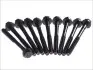 Фото Комплект болтів ГБЦ TOYOTA COROLLA, COROLLA FX, STARLET 1.0/1.3 08.83-07.99 Elring (708190) зображення 1