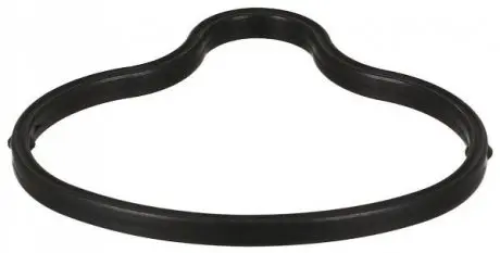Прокладка впускного колектора BMW 5 (E60), 5 (E61), 6 (E63), 6 (E64) 5.0 09.04-12.10 Elring 727920 Купити в Україні