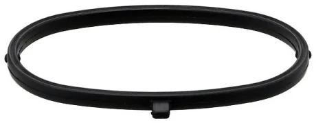 Прокладка впускного колектора BMW 3 (E90), 3 (E92), 3 (E93) 4.0 06.07-10.13 Elring 752060