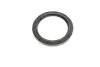 Фото Комплект прокладок двигуна (низ) FORD B-MAX, C-MAX II, ECOSPORT, FIESTA VI, FIESTA VII, FOCUS III, GRAND C-MAX, MONDEO V, PUMA, TOURNEO CONNECT V408 NADWOZIE WIELKO 1.0/1.0H 02.12 Elring (773130) зображення 12