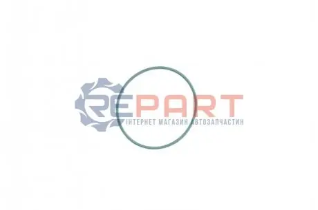 Фото Прокладка вакуумного насоса Audi (53x57x2) ELRING (790.000) изображение 1