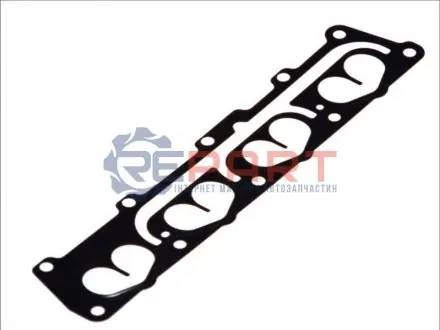 Прокладка впускного колектора FIAT STILO OPEL ASTRA G, ASTRA G CLASSIC, ASTRA H, ASTRA H GTC, MERIVA A, VECTRA C, VECTRA C GTS, ZAFIRA B 1.6 03.00-09.12 Elring 809.241 Купити в Україні