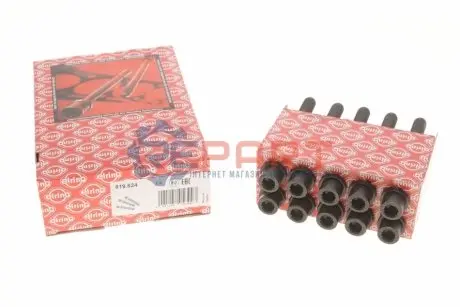 Комплект болтів ГБЦ ARO 10 AUDI 80 B2, 80 B3, 80 B4, 90 B3, A3, A4 B5, A6 C4, A6 C5, CABRIOLET B3 FORD GALAXY I PORSCHE 924 SEAT ALHAMBRA, AROSA, CORDOBA, CORDOBA VARIO 1.3D-2.0 04.75 Elring 819824 Купити в Україні