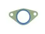 Прокладка колектора впуск BMW 3/5/Omega 2.5 tds/TD 91- Elring (821.012) изображение 1