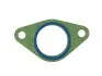 Прокладка колектора впуск BMW 3/5/Omega 2.5 tds/TD 91- Elring (821.012) изображение 2