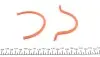 Комплект прокладок (нижний) Renault Kangoo/Clio/Megane 1.4/1.6 88- Elring (867.520) изображение 5