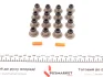 Повний комплект прокладок двигуна CITROEN JUMPER III FIAT DUCATO PEUGEOT BOXER 2.2D 04.06 Elring (867.800) зображення 2