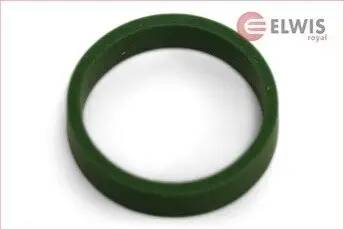 Фото Прокладка впускного колектора Elwis Royal (0256084) зображення 1