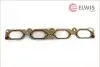 Фото Прокладка впускного колектора Elwis Royal (0256090) зображення 1