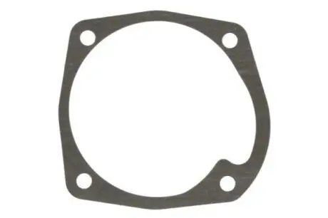 Прокладка насоса охолоджуючої рідини CASE IH 55, 64, 70 ENGITECH ENT010807