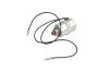 Соленоїдний клапан MITSUBISHI CARISMA RENAULT LAGUNA III, MEGANE I, MEGANE I CLASSIC, MEGANE SCÉNIC F8Q784-V4Y713 09.96-12.15 ENGITECH (ENT220015) зображення 1