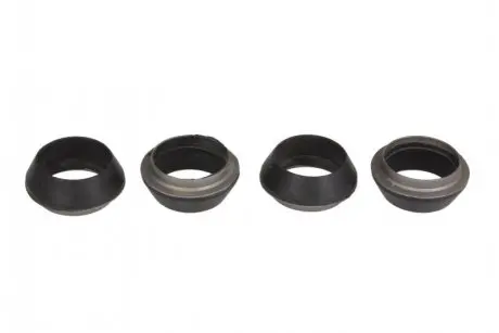 Компл. прокладок інжектора BOSCH FIAT PSA 2.3D/3.0 HDI IVECO DAILY III, DAILY IV, DAILY V, DAILY VI, MASSIF BMW 5 (G60, G90, G68), X1 (U11) CITROEN JUMPER III 2.0D-3.0D 07.99 ENGITECH ENT250505