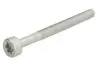 Елемент форсунки Common Rail ENGITECH (ENT250578) изображение 1