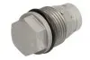 Фото Елемент системи Common Rail ENGITECH (ENT260023) зображення 1