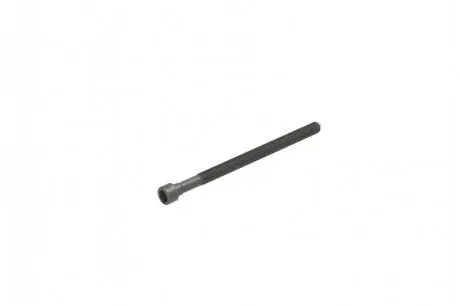 Болт вузла ПНВТ AUDI A3, A4 B7, A6 C6 SEAT ALTEA, ALTEA XL, LEON, TOLEDO III SKODA OCTAVIA II, SUPERB II VW GOLF PLUS V, GOLF V, JETTA III, TOURAN 2.0D 02.03-07.15 ENGITECH ENT2800951 Купити в Україні