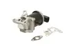 Фото Клапан EGR SEAT AROSA, IBIZA II VW LUPO I, POLO, POLO III CLASSIC 1.0/1.4 09.93-07.05 ENGITECH (ENT500083) зображення 2