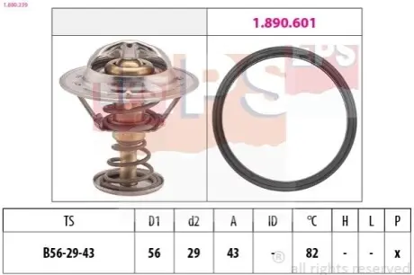 Термостат, охолоджувальна рідина EPS 1.880.339 Купити в Україні
