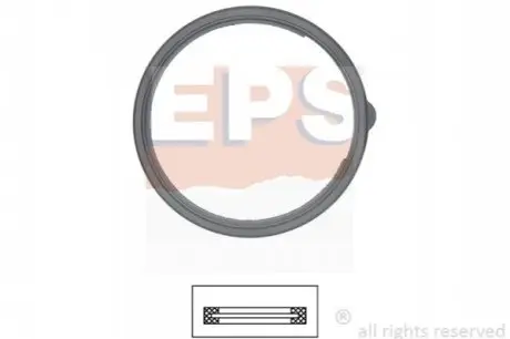 Ущільнення, термостат EPS 1.890.592 Купити в Україні