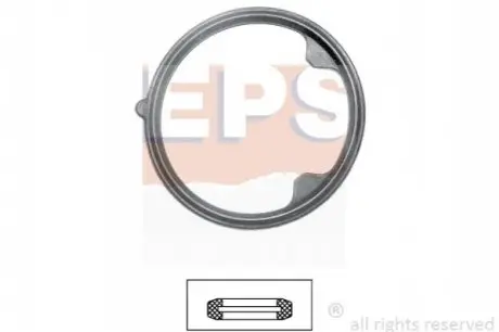 Ущільнення, термостат EPS 1.890.627 Купити в Україні