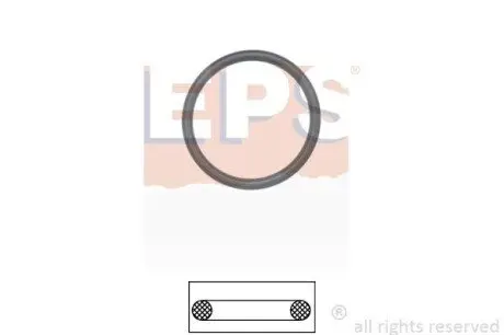 Фото Ущільнення, термостат EPS (1.890.660) изображение 1