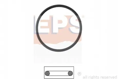 Ущільнення, термостат EPS 1.890.687 Купити в Україні