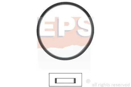 Ущільнення, термостат EPS 1.890.706
