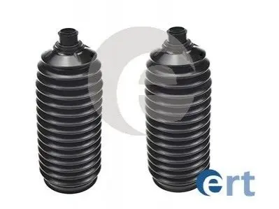 Фото 1 — Набір пильовика ERT (102396) Фото Набір пильовика ERT (102396) зображення 1