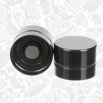 Фото Гідрокомпенсатор VW T5/Caddy/Golf/Passat 1.9/2.5TDI 03- (35x26) ET ENGINETEAM (ZH0089VR1) зображення 1