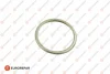 Прокладка глушника Kadett/Astra/Vectra/Combo/Omega -01 EUROREPAR (1607360880) изображение 1