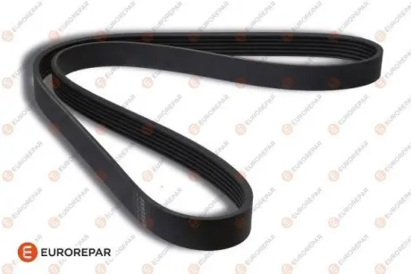 Ремінь генератора Fiat Doblo 1.3D Multijet/1.3JTD/Ford Focus 1.8/2.0 04 EUROREPAR 1609318680