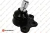 Фото Опора кульова (передня/знизу) Opel Astra G 98-09/Astra H 04-14/Omega B/Vectra B 94-03/Zafira A/B 99 EUROREPAR (1634869780) зображення 1
