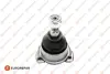 Фото Опора кульова (передня/знизу/ззовні) BMW 3 (E36) 90-00/Z3 (E36) 95-03 EUROREPAR (1634870480) зображення 1