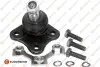 Фото Опора шаровая (передняя/снизу/L) Audi A3/VW Golf IV 1.6/1.9TDI 97-06 EUROREPAR (1634875780) зображення 1