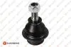 Фото Опора кульова (передня/знизу) Ford Transit 00-14/Connect 02 EUROREPAR (1634884080) зображення 1