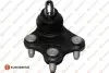 Фото Опора кульова (передня/знизу/R) Audi A1 10-/Seat Ibiza 02-15/Toledo 12-/Skoda Fabia 14-/VW Polo 01 EUROREPAR (1634911180) зображення 1