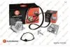 Фото Комплект ГРМ + помпа Citroen Berlingo/Jumpy 1.6HDI 10- (z=141) EUROREPAR (1684891780) зображення 1