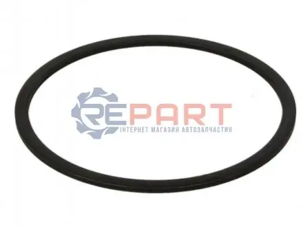 Блок.элемент синхронизатора EURORICAMBI 60531442