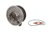 Картрідж турбіни FORD GALAXY I SEAT ALHAMBRA, CORDOBA, IBIZA III SKODA FABIA I VW GOLF IV, POLO IV, SHARAN 1.9D 11.00-03.10 EVORON (EVCH0059) зображення 1