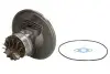 Картридж / CHRA / Core Assy EVORON (EVCH5007) зображення 2